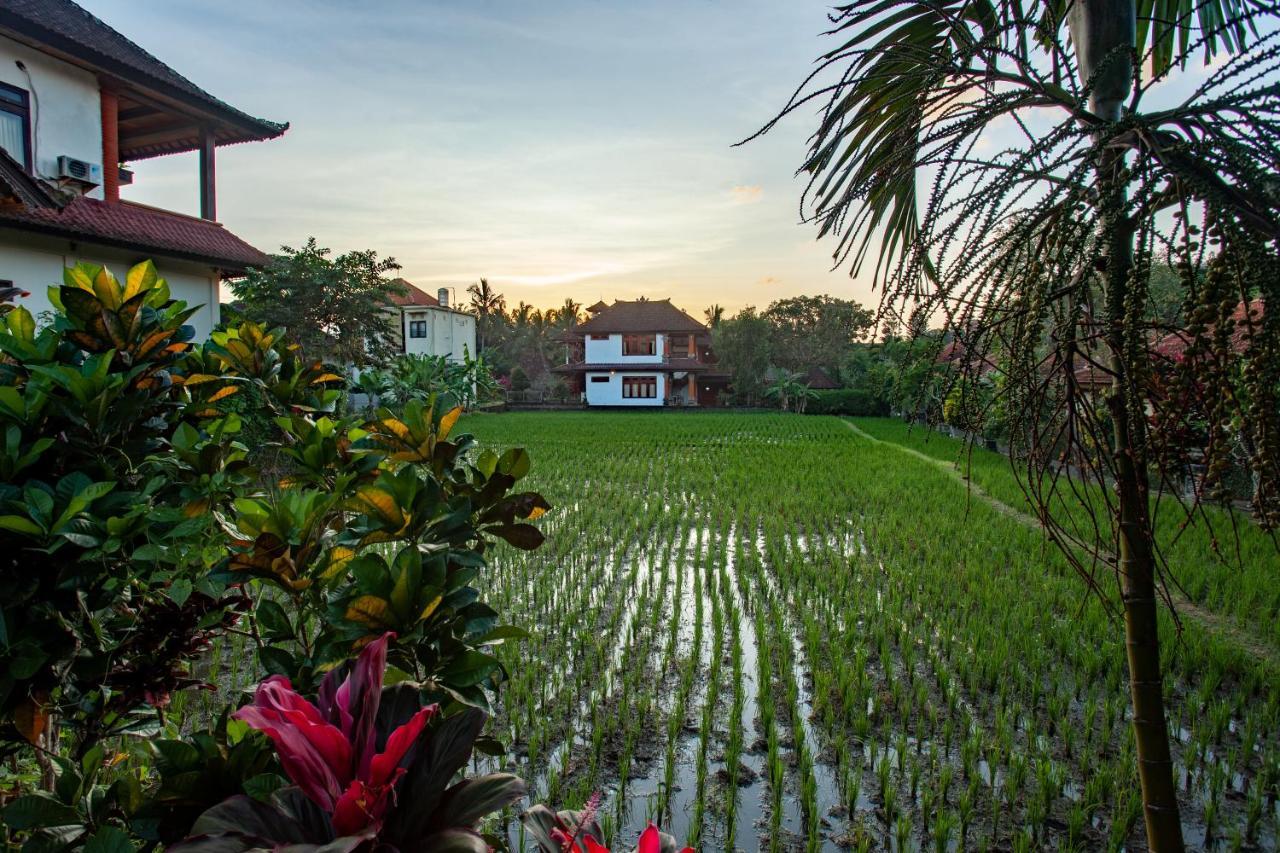 Nick'S Pension Ubud Eksteriør bilde